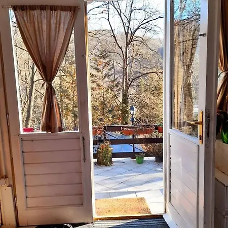 Zold Kabin Lodge *