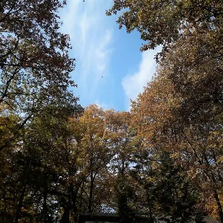 Hytte Zold Kabin Verőcemaros