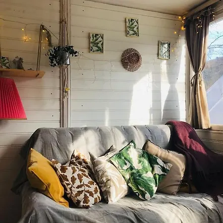 Zold Kabin Lodge