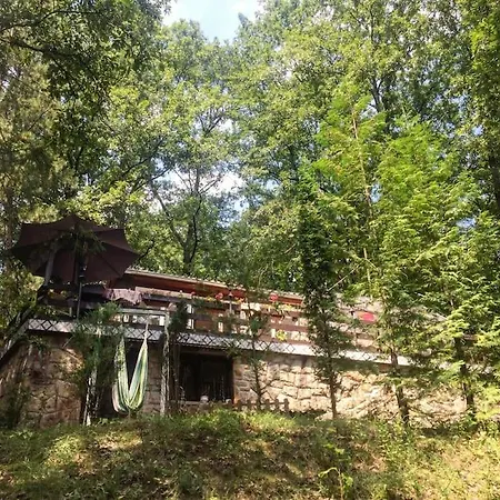 Zold Kabin Lodge