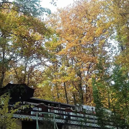 Lodge Zold Kabin