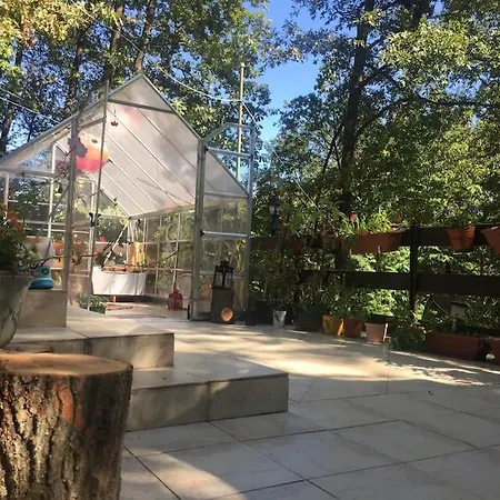 Zold Kabin Lodge