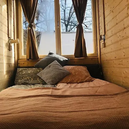 Hytte Zold Kabin